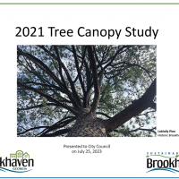 2021 Tree Canopy Presentation
