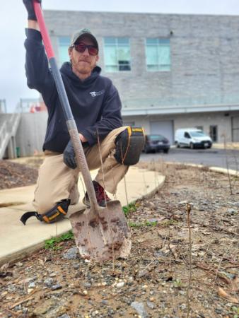 City Arborist Jeff Dadisman rescues dormant saplings from the Public Safety Building construction site.