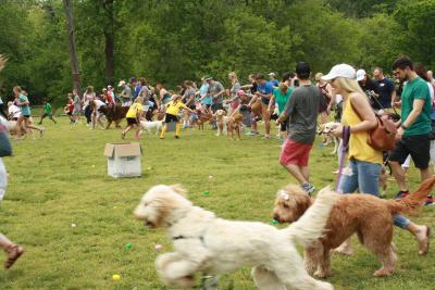 About 250 dogs crowded into Brookhaven Park for the first ever Dog Gone Easter Egg Hunt and Spring Bark Festival.