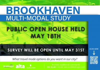 Brookhaven Multimodal Study survey